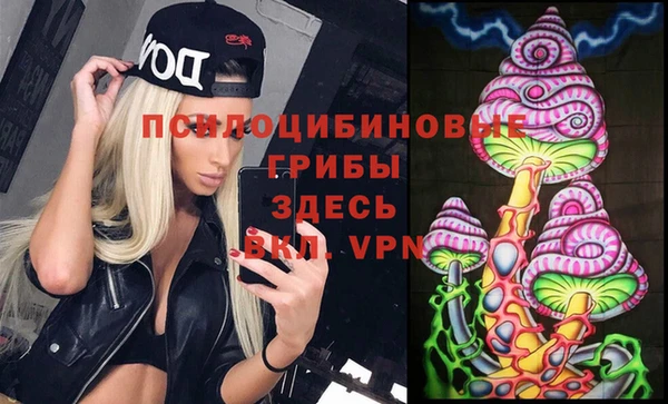 индика Богданович