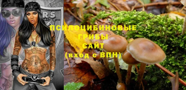 индика Богданович