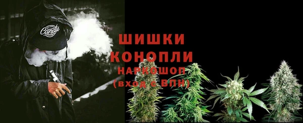 индика Богданович