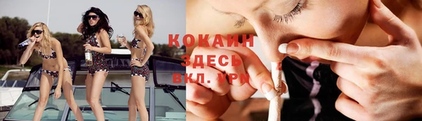 индика Богданович