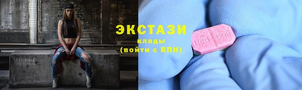 индика Богданович