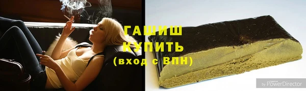 индика Богданович