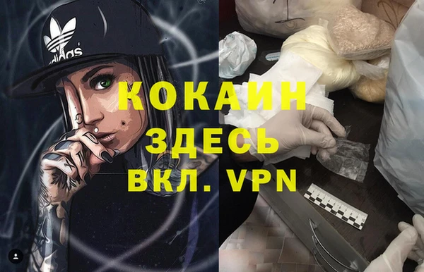 индика Богданович