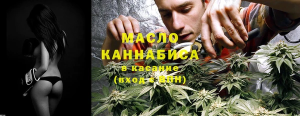 индика Богданович