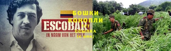 mix Богородск