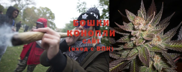 mix Богородск