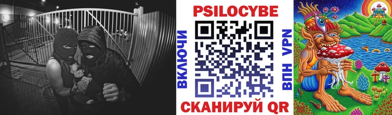 Псилоцибиновые грибы MAGIC MUSHROOMS Судак