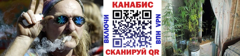 Купить где  Судак  Конопля тримм 